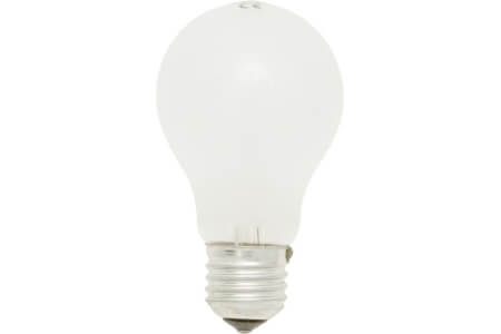 Rough Service Bulbs - Edison Screw